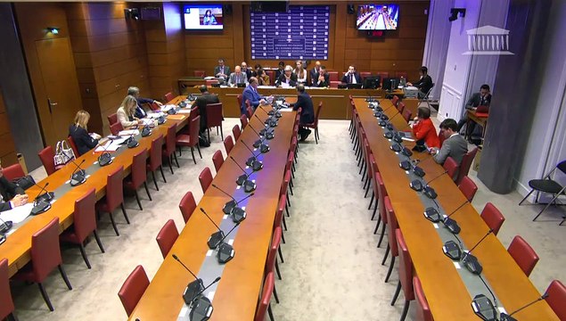 Commission des finances : Commission d’évaluation des politiques publiques relatives aux missions Culture et médias et Médias, livres et industries culturelles - Mercredi 5 juin 2024