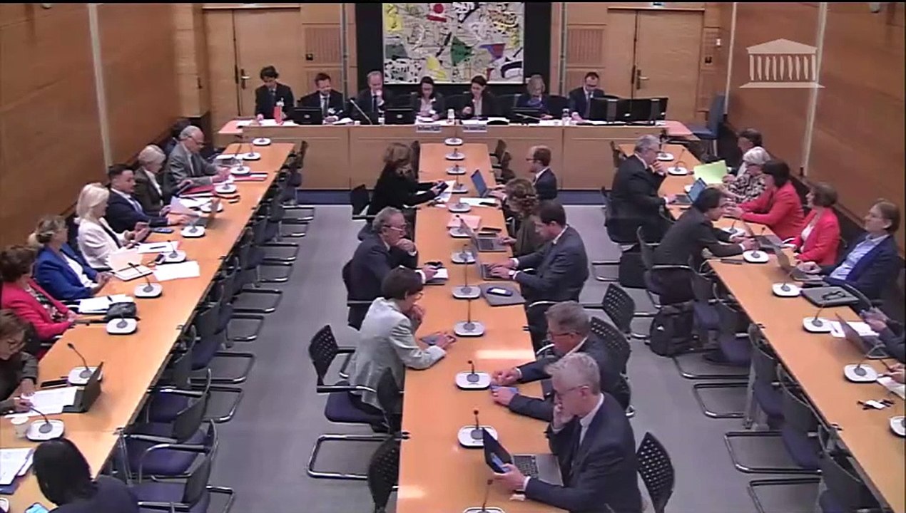 Commission des affaires culturelles : Mme Florence Philbert, directrice générale des médias et des industries culturelles - Mercredi 5 juin 2024