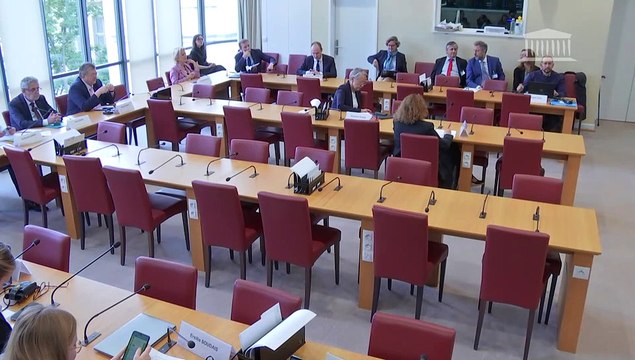 Commission des affaires étrangères : Statut de Mayotte au regard du droit international ; Crise de l’Organisation des Nations Unies et perspectives de réforme - Mercredi 5 juin 2024