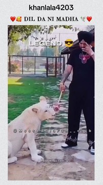 Sidhu moose Wala VS Varun dhawan Punjabi singer moose Wala Bollywood movies Indian Actor and Punjab da put