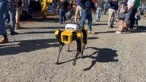 Robotic dog is a hit at Elders FarmFest | Queensland Country Life