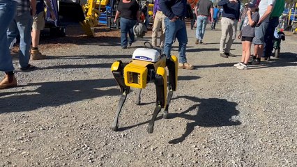 Robotic dog is a hit at Elders FarmFest