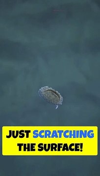 Facts that will blow your mind! #facts #shorts #trendingshorts #shortsfeed #didyouknow