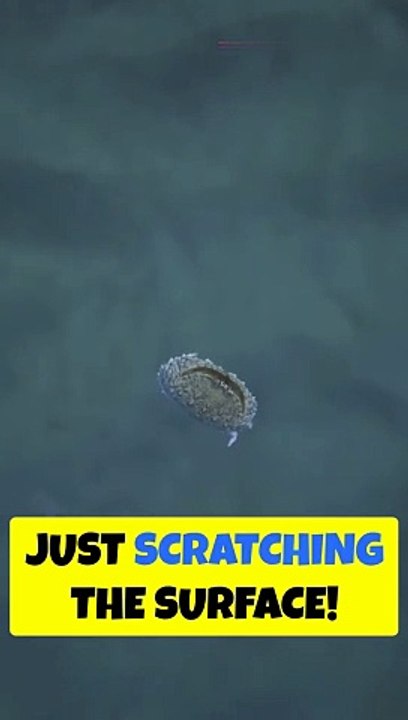 Facts that will blow your mind! #facts #shorts #trendingshorts #shortsfeed #didyouknow