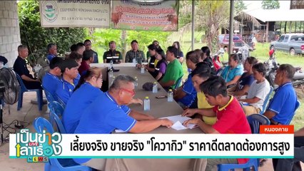 เมนูเด็ด “ก้อยปลาใส่มดแดง” | เป็นข่าวเล่าเรื่อง | 06 มิ.ย. 67 | PART 2