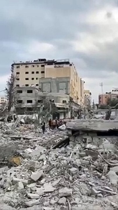 @freepalestine