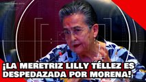 ¡VEAN! ¡La meretriz Lilly Téllez es despedazada por morena por traidora a la patria y atacar a AMLO!