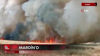 Mardin'deki yangınlarda bin 700 dönümün üzerinde buğday tarlası küle döndü