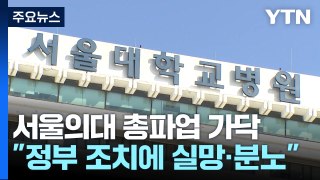 서울의대·병원 교수들 총파업 '가닥'...