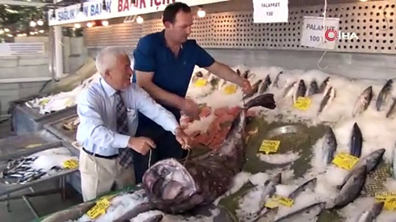 Marmara Denizi'nden 2 dev çıktı; balıkçılar bile şaşırdı