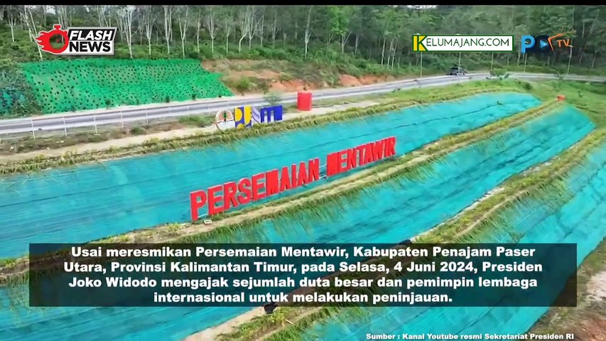 Pesan Para Dubes Saat Melihat Persemaian Mentawir di IKN Bersama Jokowi