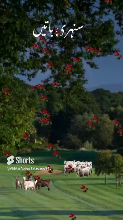 #shortsvideo #islamic #islamicshorts #goldenwords