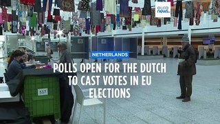 EU elections: Polls open in Netherlands as Dutch cast their vote