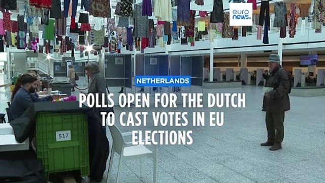 EU elections: Polls open in Netherlands as Dutch cast their vote