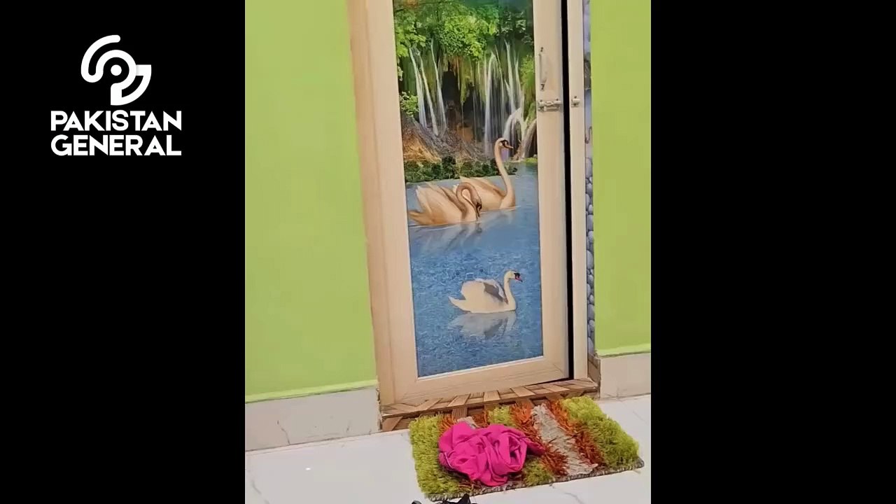 Very funny Transformation & dance..