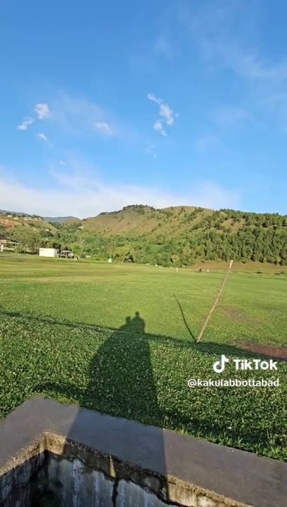 natural view