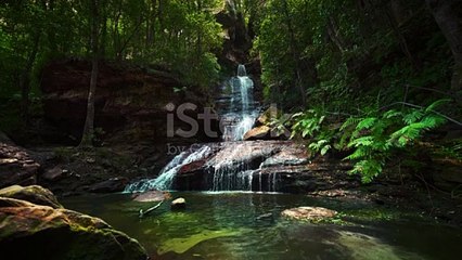 Waterfall With Fresh Water In The Romantic And Idyllic Tropical Jungle Rainforest Blue Mountains National Park In Australia Near Sydney Cinemagraph Seamless Video Loop Of Cascade In Natural Green Forest Landscape With Fern And Palm Trees Cinematic