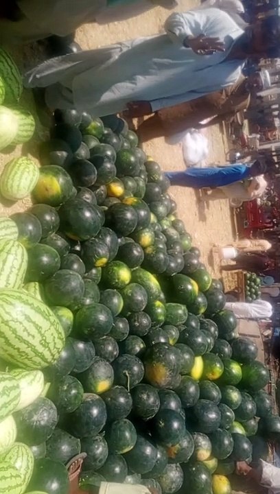 VID_20240518_105809
