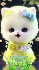 Naatsharif#naat Sharif islami naat