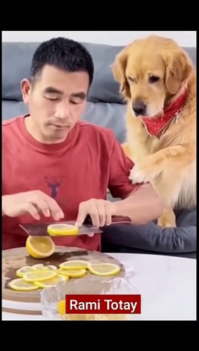 Very funny video