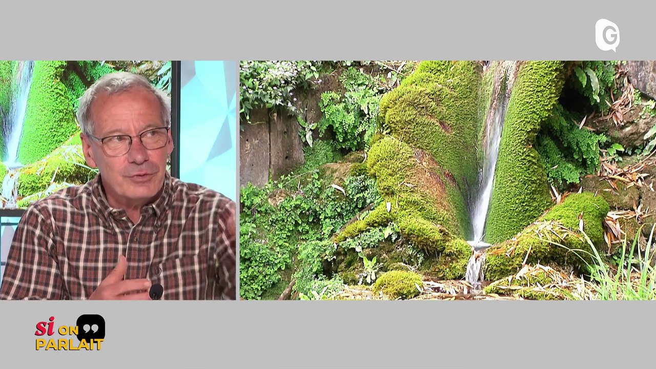 SI ON PARLAIT - 05/06/24 - Grotte de Choranche, papiers peints, Roman