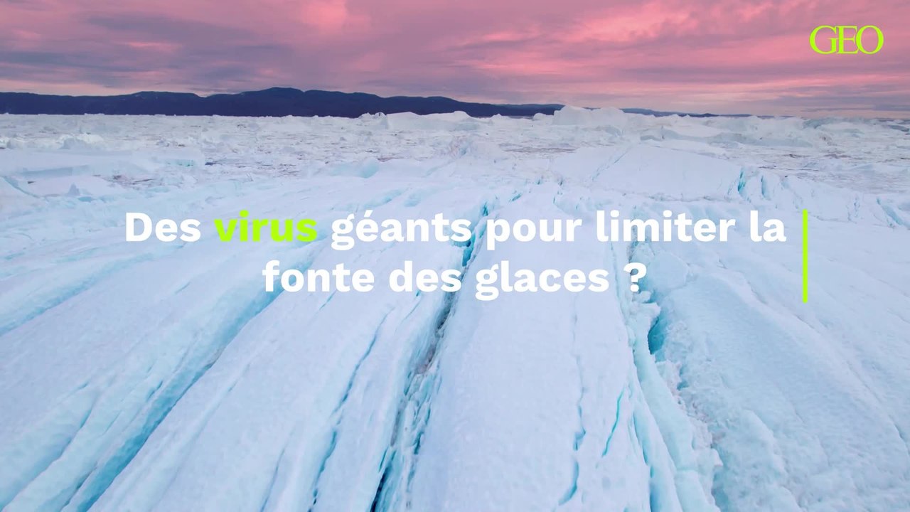 Des virus géants découverts sur la calotte glaciaire du Groenland pourraient limiter la fonte des glaces
