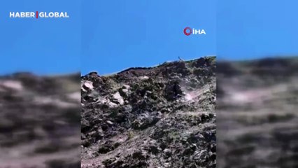 Elazığ'da dağ keçileri görüldü