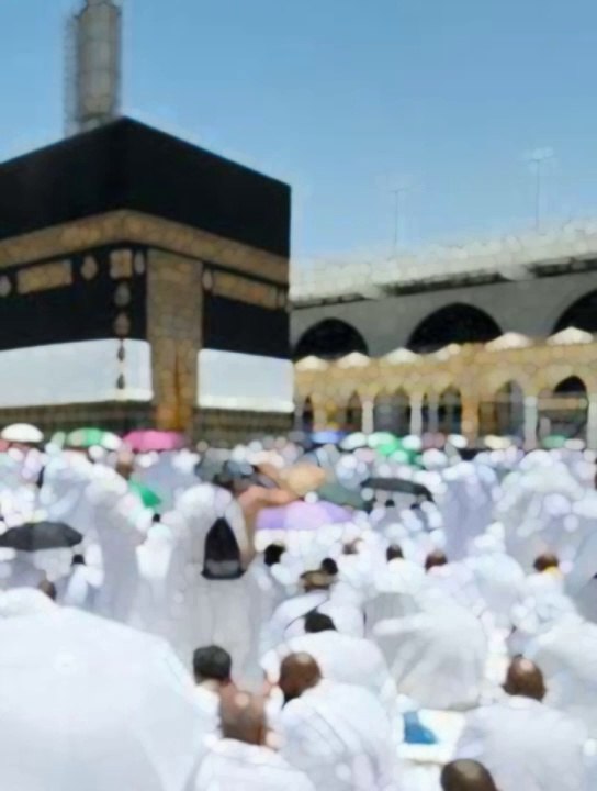 Hajj Ki Fazilat | Hadees Mubarak #islamicshorts #shortvideo #rahehaq23