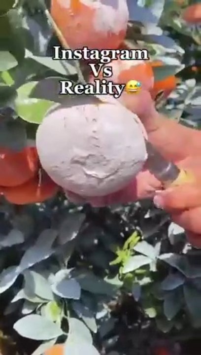 Must Watch full video