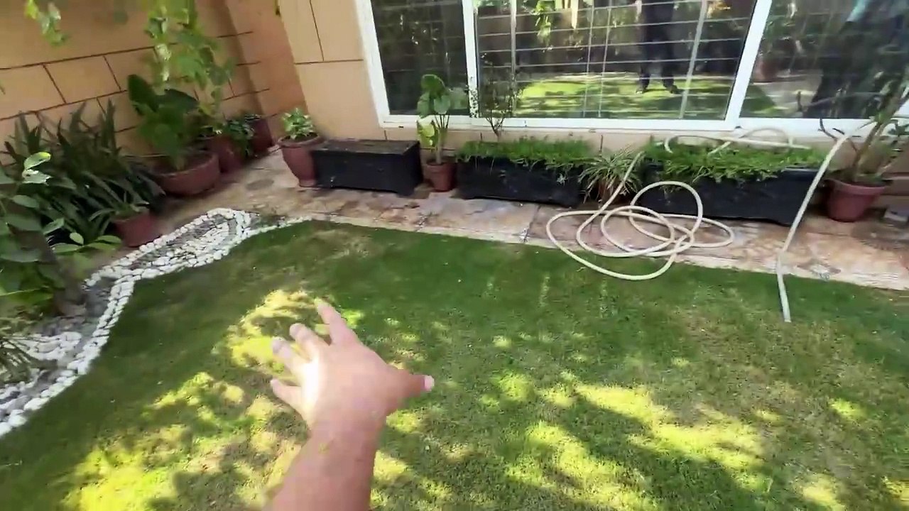 Aroob Ka Shippu Wapis Aageya  _ Qurbani Ke Liye Mandi Se Sheep Le Aye ❤️ - Downloaded from clipzag.com
