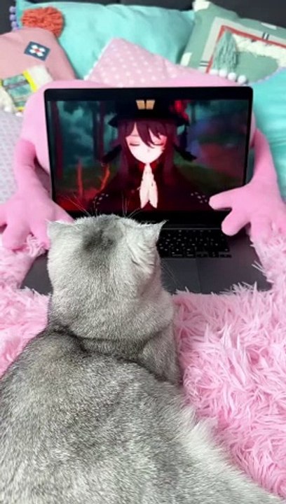 My cat has become Hu Tao!  #cat #cats