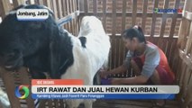 Ibur Rumah Tangga Rawat dan Jual Hewan Kurban