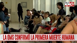 Alerta mundial: confirman la primera muerte por gripe aviar