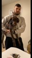 German Shorthaired Pointer Dog Expresses Annoyance by Knocking Over Car Keys