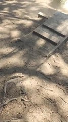 Guy Pushing Wife on Swing Loses Balance and Falls Downhill