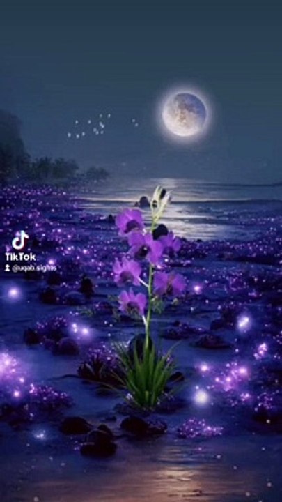 Beautifull display.. خوبصورت منظر