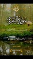 Al Quran | Quran Translation | Islamic video