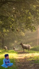 Nice Amazing Video Clip