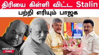 Chandrababu Naidu - Stalin சந்திப்பு…பாஜகவுக்கு Message சொன்ன Stalin | Oneindia Tamil