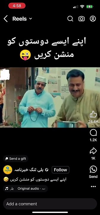 Chaye chaia