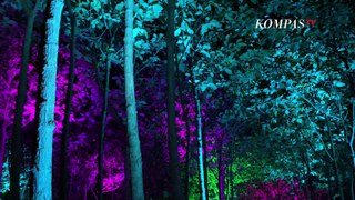 Sensasi Masuk ke Hutan Warna-warni Lampung The Magical Forest