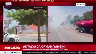 Antalya Konyaaltı'nda orman yangını