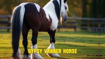 Equine Elegance 10 Horses that will leave you in Awe
