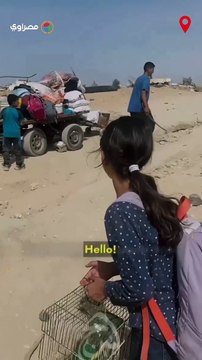وقت يكون معي أحس بالأمان .. طفلة فلسطينية تروي قصة نزوحها مع عصفورها منصور