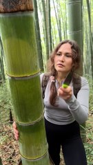 The GIRL's skills are AMAZING#camping #survival #bushcraft #outdoors #lifehack