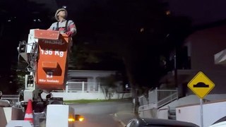 Vídeo hilário mostra resgate de galinha após mobilização da Celesc em Balneário Camboriú