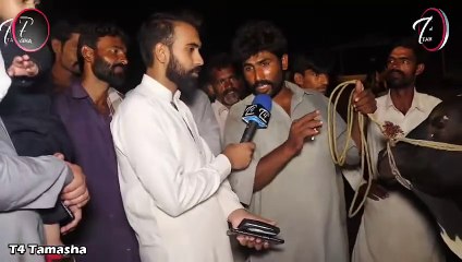 5 لاکھ والا بیل اچانک ڈھائی لاکھ کا ہو گیا۔ سنگجانی مویشی منڈی رات کی اپڈیٹ ۔ share video  like page ❤
