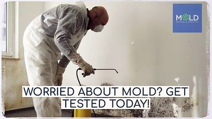 Mold removal companies Los Angeles