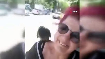 Kediden kurtarmıştı, şimdi omzundan inmiyor! En yakın dostu oldu