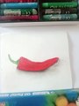 How to draw realistic drawing of a red chilli with oilpastel/oil paint/oilpastel sy drawing/realistic drawing of Red chilli